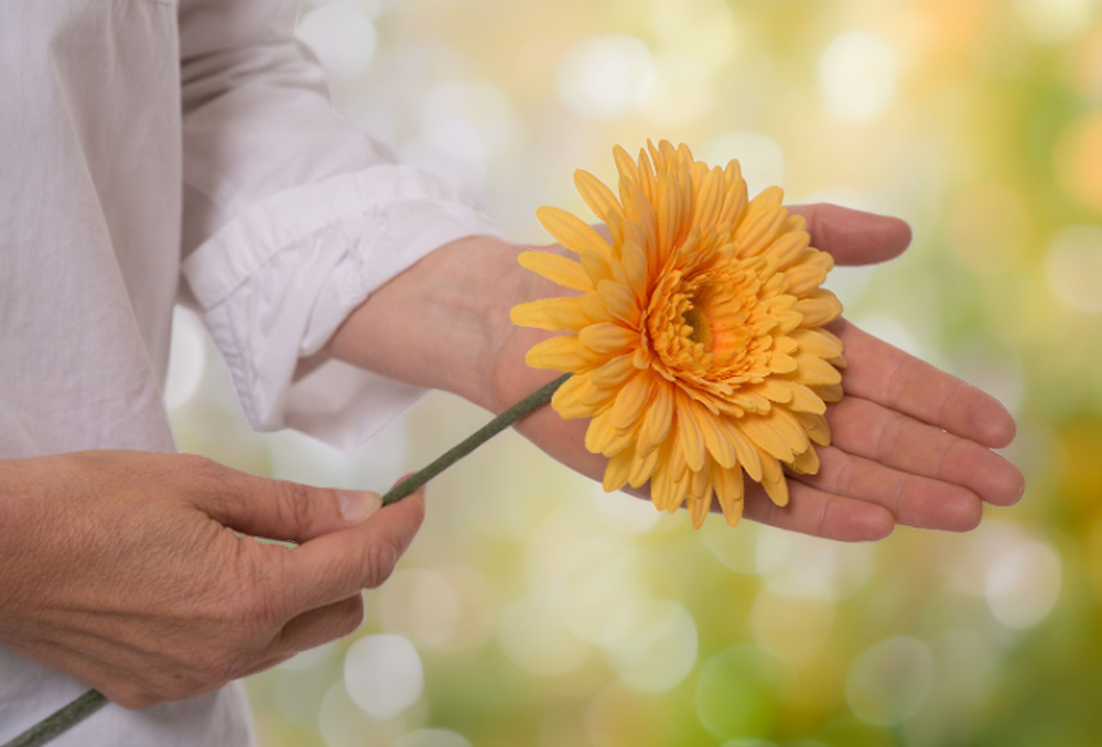 Steffi Rohrmann hält eine gelbe Gerbera in den Händen als Symbol für mentale Gesundheit.